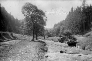 Schwarzwassertal mit Bahnlinie und Holzbrücke