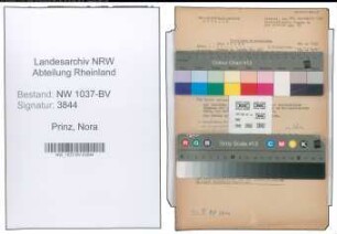 Entnazifizierung Nora Prinz , geb. 15.07.1901 ()
