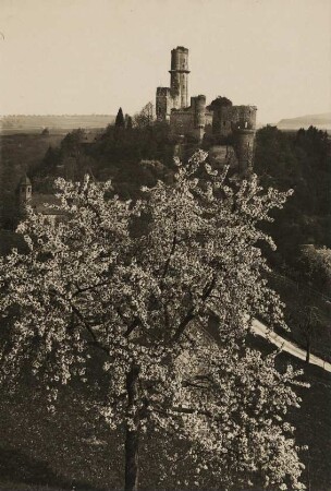 Ansicht der mittelalterlichen Burg Reichenberg bei St. Goarshausen am Rhein im Frühling