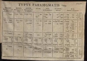 Typus Paradigmatis /Ad pag.166