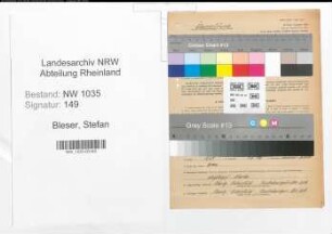 Entnazifizierung Stefan Bleser , geb. 04.10.1891 (Markenmeister)