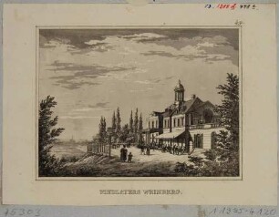 Findlaters Weinberg am Loschwitzer Elbhang zwischen Saloppe und Mordgrund bei Dresden nach Nordwesten, im Hintergrund die Stadt Dresden im Elbtal, aus Schiffners Beschreibung von Sachsen um 1840