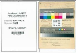 Entnazifizierung Elisabeth Breining , geb. 03.07.1907 (Angestellte)