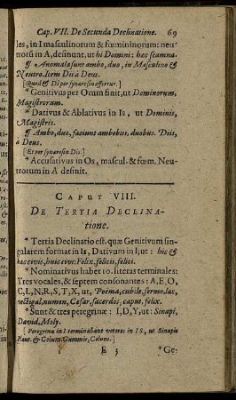 Caput VIII. De Tertia Declinatione
