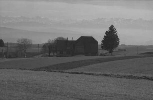 Höchenschwand: Alpenblick von Höchenschwand, mit Haus im Vordergrund