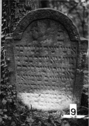Grabstein 9 (Index: 99804069) Material: Sandstein Zustand: Inschrift im Rundbogen verwittert Beschreibung: Stele mit eingezogenem Rundbogen und Inschriftenfeld: Grabstein 9
