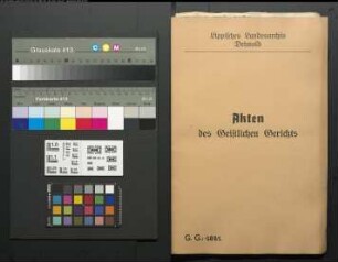 Marie Ilsabein Schnüllen zu Hohenhausen gegen Hermann Henrich Edler zu Westorf, wegen einer Eheklage