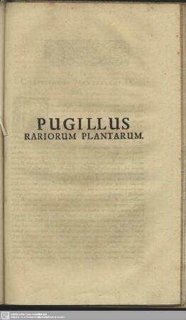 Pugillus Rariorum Plantarum