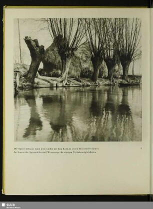Der Spreewaldbauer kann jetzt wieder mit dem Kahn zu seinen Heuschobern fahren. Im Inneren des Spreewaldes sind Wasserwege die einzigen Verkehrsmöglichkeiten