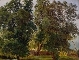 Parklandschaft