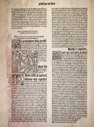 [Hyr anheuet de vorrede vn de bewysinghe yn de epistole to den Galatheren.]
