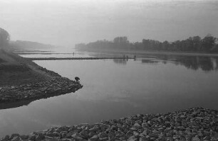 Buhnenangeln am Rhein bei Niedrigwasser.