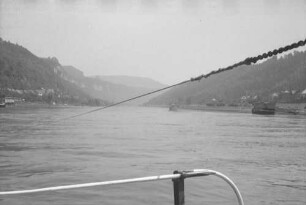 Bad Schandau: Fähre Schandau-Krippen, mit Stromseil