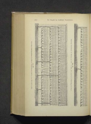 Fig. 386. Dreireihige Rebenschnurbäume für Mauern...