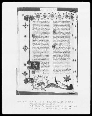 Franziskanisches Brevier — ---, Folio 226versoBuchseite