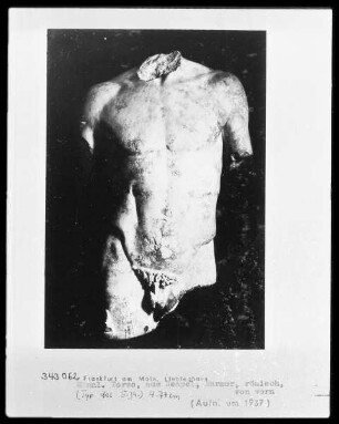 Männlicher Torso