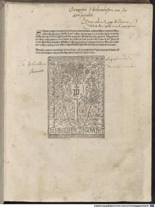 Summa aurea in quattuor libros Sententiarum
