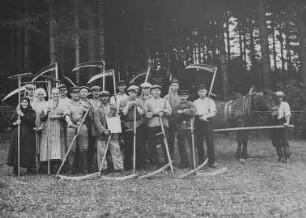 Gegenseitige Hilfe der Kleinbauern im Erzgebirge - Getreidemahd mit der Wurfsense : Gegenseitige Hilfe der Kleinbauern im Erzgebirge