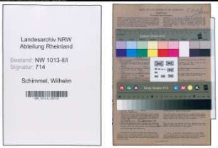 Entnazifizierung Wilhelm Schimmel , geb. 08.01.1895 (Ingenieur)