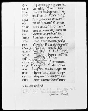 Bernardus, Sermones in Contica Canticorum — Initiale B, Folio 155recto