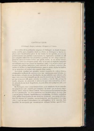 Capítulo XXIII.