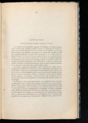 Capítulo XXIII.