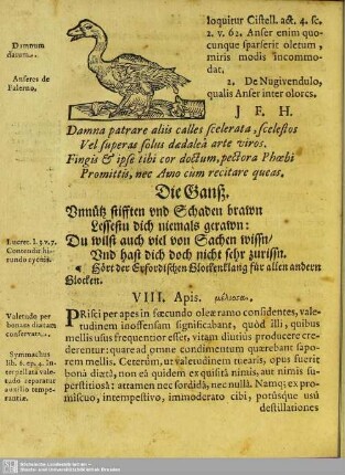 VIII. Apis