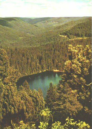 Am Wildsee