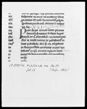 Biblia latina, pars 1 — Ein Drache, Folio 28recto