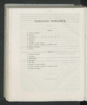 Explicatio Tabularum.