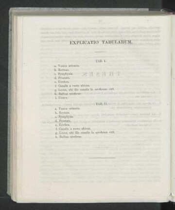 Explicatio Tabularum.