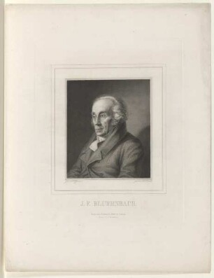 Bildnis des J. F. Blumenbach