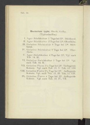 Tab. 16 Bacterium typhi