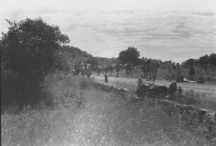 Kamelkarawane am Altipiano : Savannenlandschaft mit einer Kamelkarawane auf einer Landstraße
