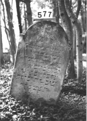 Grabstein 577 (Index: 99900745) Material: Sandstein Zustand: stark verwittert Maße HxBxT: 98x55x11 cm Beschreibung: Stele mit eingezogenem Rundbogenabschluss: Grabstein 577