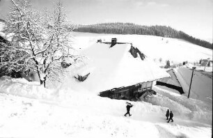Todtnauberg: Weg an verschneitem Bauernhaus; von oben