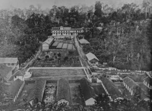 Plantage : Gebäude eine Kakaoplantage
