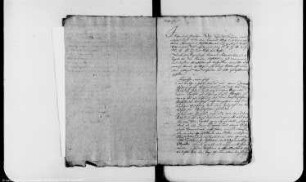 Die zum Dekanatsvorwerk Mennewitz vor Aken gehörenden Holzungen