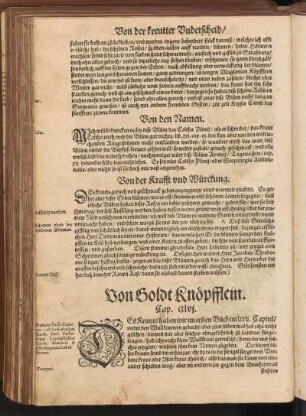 Von Holdt Knöpsslein, Cap. CXLVI