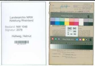 Entnazifizierung Helmut Hellweg , geb. 21.03.1910 (Arzt)