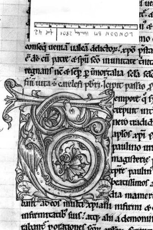 Rankeninitiale T, Folio 42 recto
