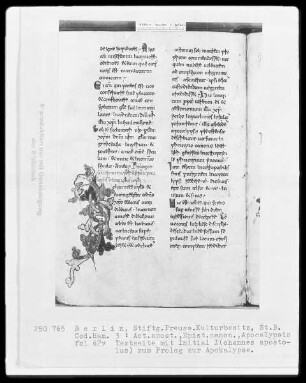 Neutestamentliche Schriften, Bibliorum sacrorum pars finalis — Initiale I(ohannes apostolus), Folio 62verso