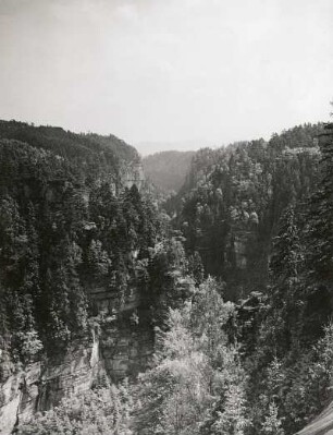 Sächsische Schweiz. Blick ins Polenztal abwärts, nahe Hohnstein. Canyon mit Schluchtwald