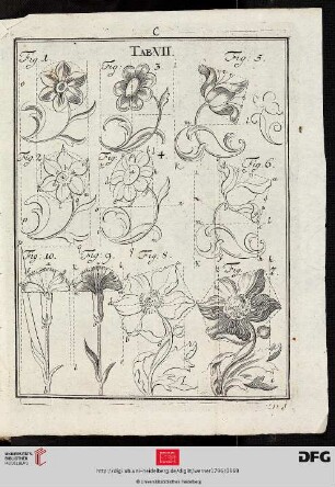 Tab. VII [Blumen (Schemata; Kontur-Schraffur)]