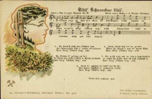 Blüh' Schwarzbeer blüh'.
