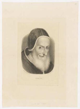 Bildnis Pius V.