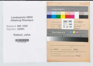 Entnazifizierung Julius Robisch, geb. 11.04.1887 (Steuerinspektor)