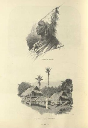 Ostafrika. Massai ; Neu-Guinea. Junggesellenhaus