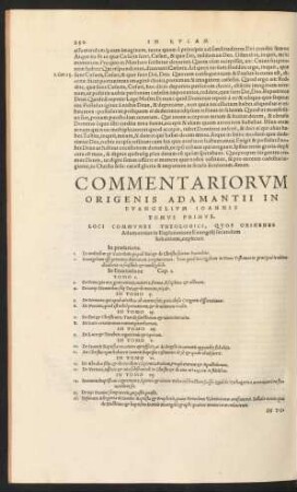 Commentariorum Origenis Adamantii In Evangelium Ioannis ...
