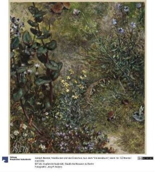 Waldboden mit der Eidechse. Aus dem "Kinderalbum"